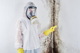 Best Mold Remediation for Healthcare Facilities  in Woodbine, GA